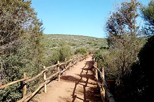 Nature and Trekking